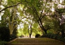 Busca maison des annes 50 de 334 mtres carrs habitables avec jardin 6 chambres beaux volumes lumineuseparcelle denviron 450 mtres carrsbelle adresse environnement